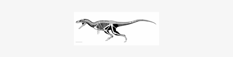 Rex Wasn't The Only Dinosaur With Those Weird Little - Patagonia T Rex, transparent png #453833