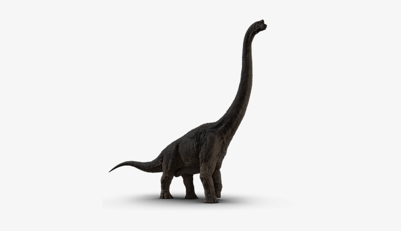 Tyrannosaurus Rex - Jurassic World Gallimimus, transparent png #453837