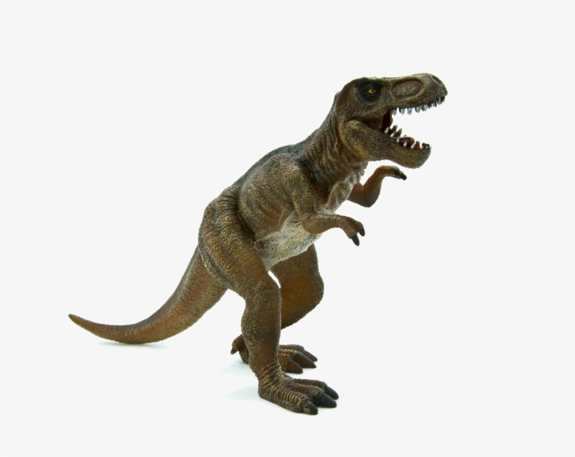 Animal Planet - Tyrannosaurus Rex, transparent png #454152