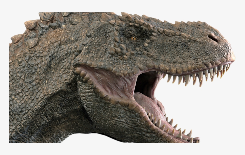 Theropods, Including Tyranosaurs Such As The Famous - T Rex Head Side, transparent png #454393