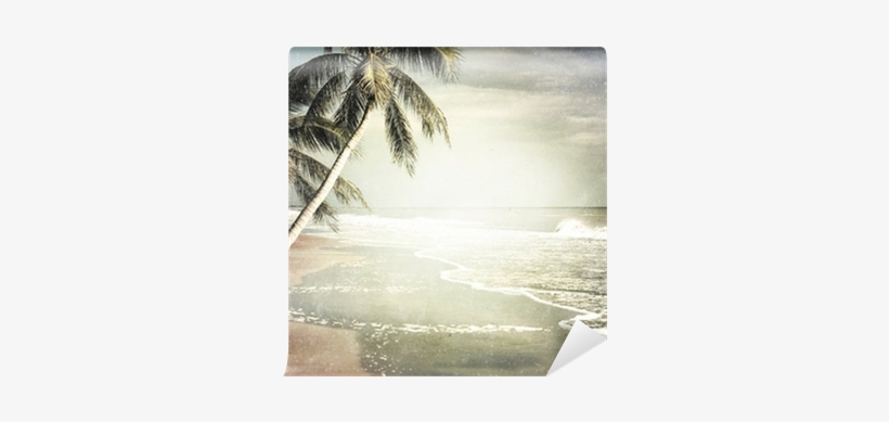 Vintage Tropical Beach Background Wall Mural • Pixers® - Grunge Beach Background, transparent png #454561