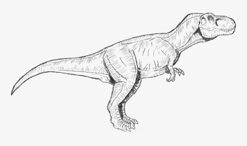 t rex jurassic park drawing