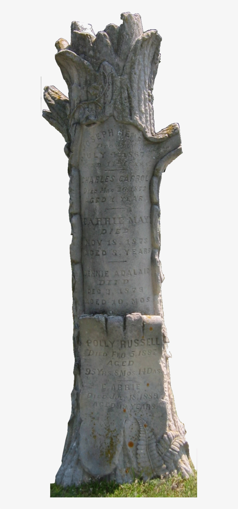 Tree Trunk Headstone Augusta Wisconsin East Lawn Cemetary - Tree, transparent png #455166