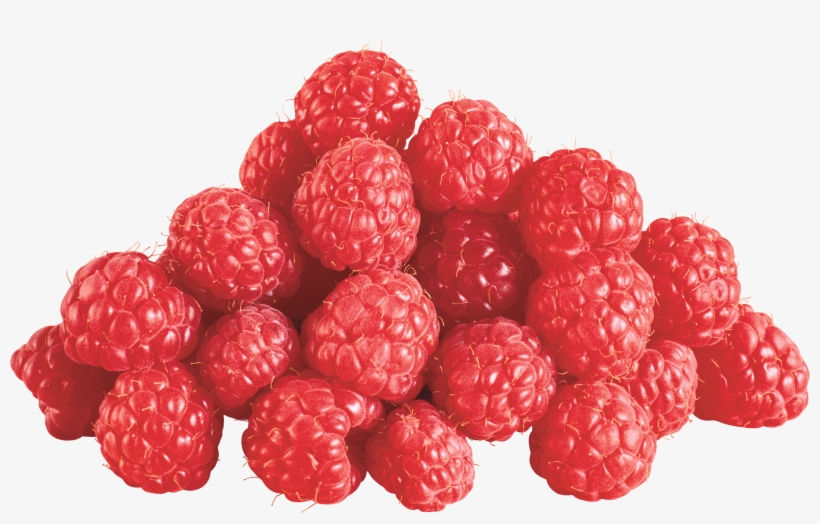 Berry Vector Raspberry - Raspberries Png, transparent png #455709
