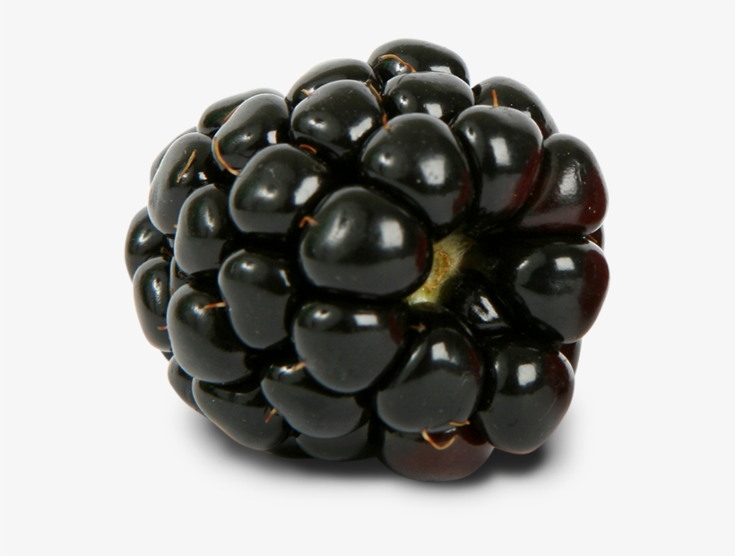 Blackberry Png Free, transparent png #456319
