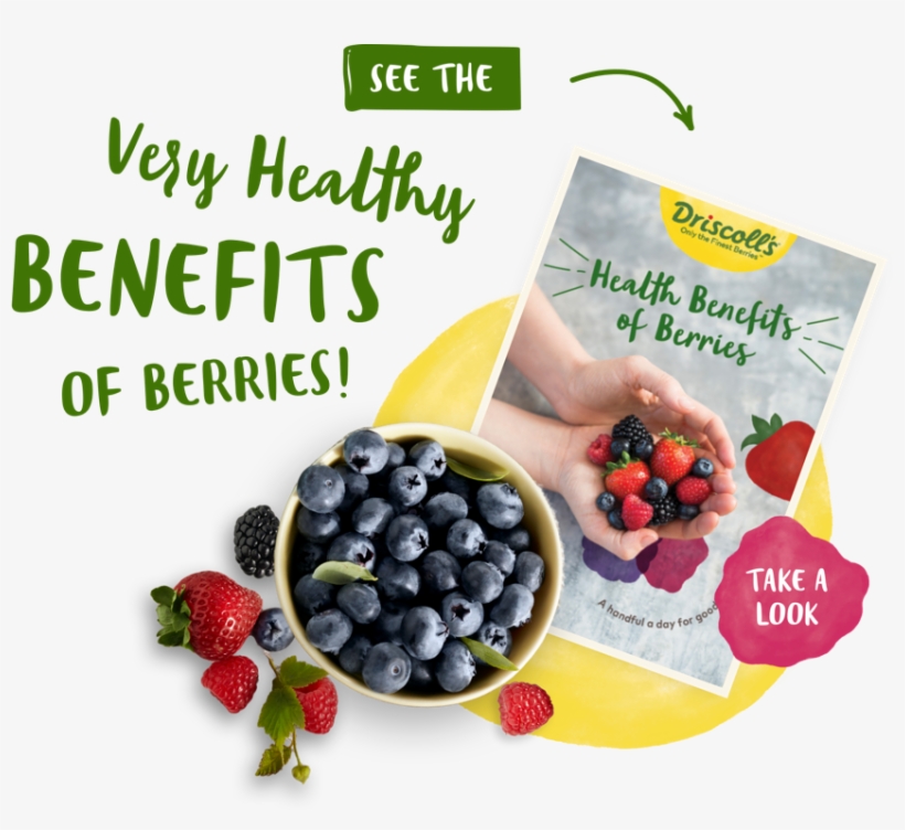 Health Benefits Of Berries - Frutti Di Bosco, transparent png #456573