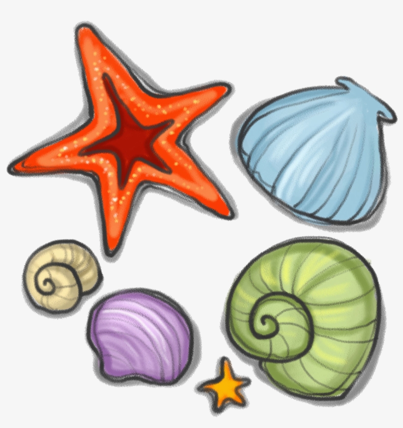 Svg Royalty Free Library Seashell Starfish Snail Clip - Seashell, transparent png #456719