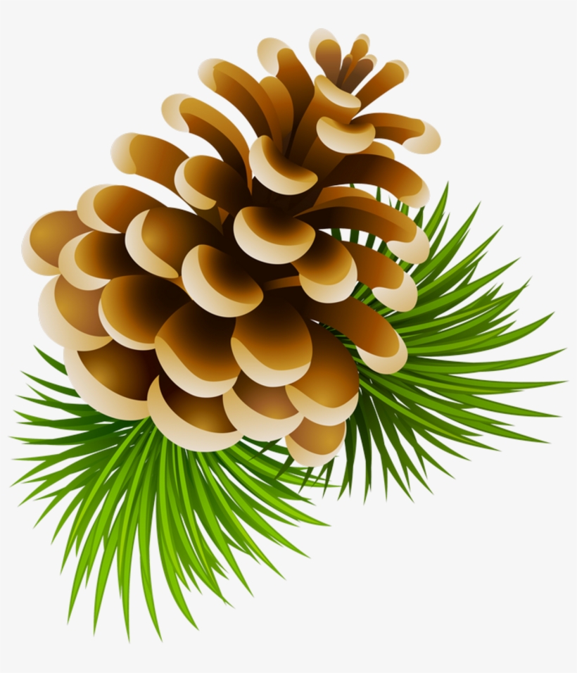 Image Download Clipart Pinecone - Pinecone Clipart, transparent png #457082