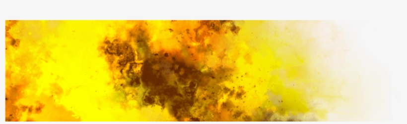 Tree, transparent png #457258