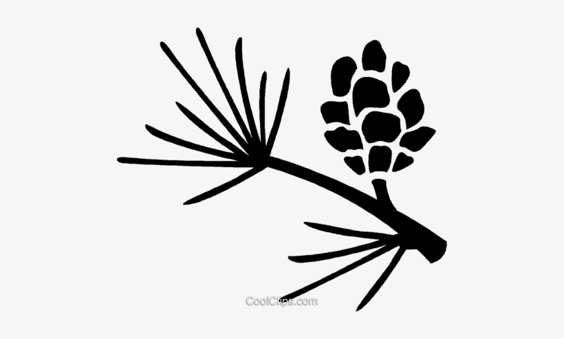 Pine Leaves And Pinecone - Pine Cone Silhouette Png, transparent png #457429