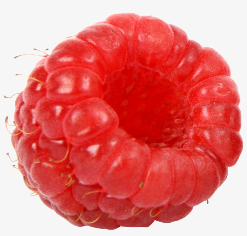 Frambuesa Negra, transparent png #457631