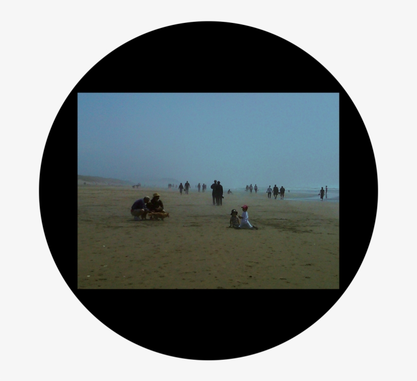 D - Antonakos - Foggy Beach - Apollo Design Csds-8013 Foggy Beach By D. Antonakos, transparent png #458386
