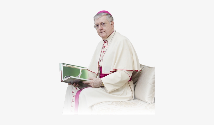 Tweets By Gbdiquattro - Bishop, transparent png #458805