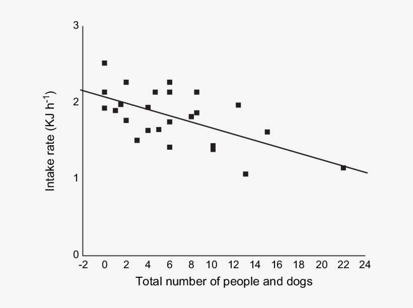 The Influence Of The Number Of People And Dogs On The - Plot, transparent png #458877