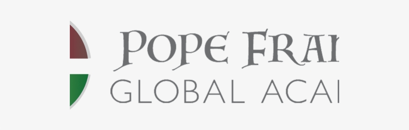 Pope Francis Global Academy, Chicago, Illinois - Shwood Sunglasses, transparent png #459586