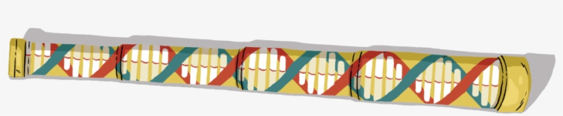 Eva Bee, transparent png #459882