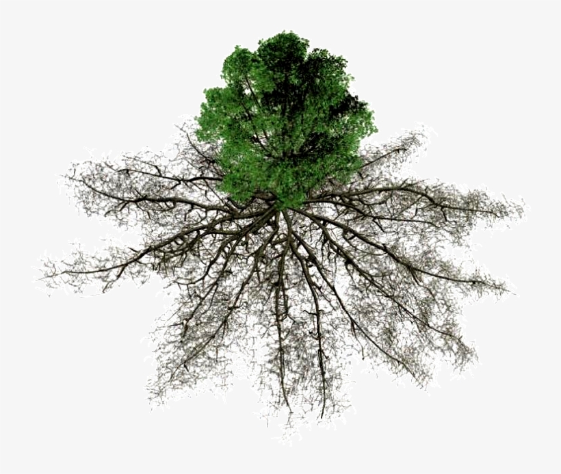 Soil, transparent png #4501436