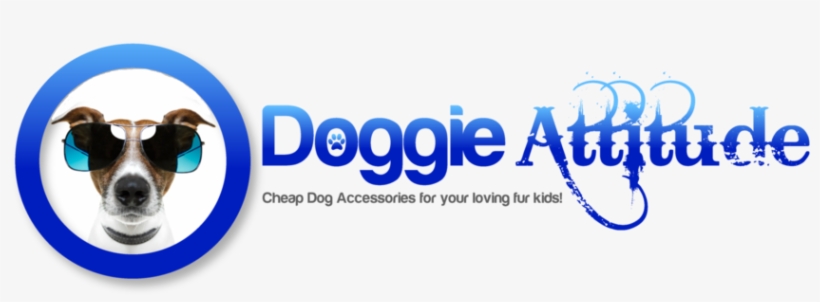 Site Navigation - Poster: Brosch's Dog With Funny Shades, 61x41cm., transparent png #4505599