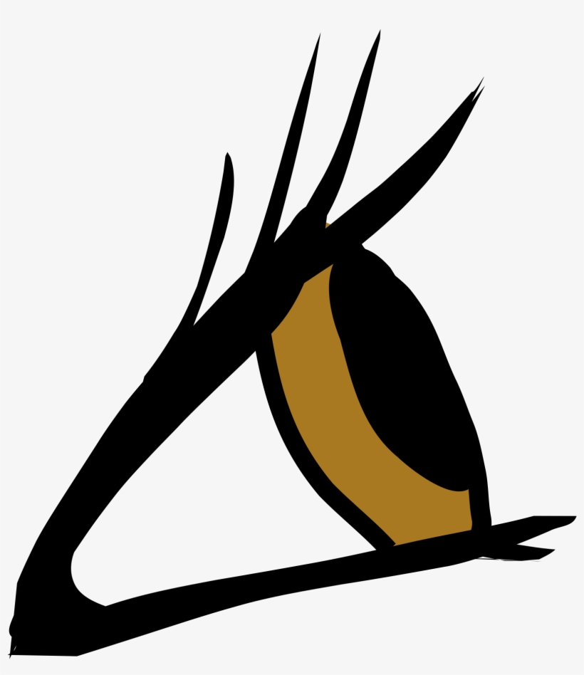 Open - Eye From Side Png, transparent png #4505707