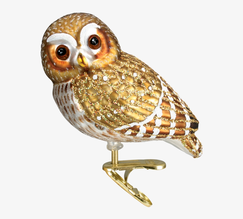 Click - Old World Christmas Glass Ornament - Pygmy Owl, transparent png #4506932