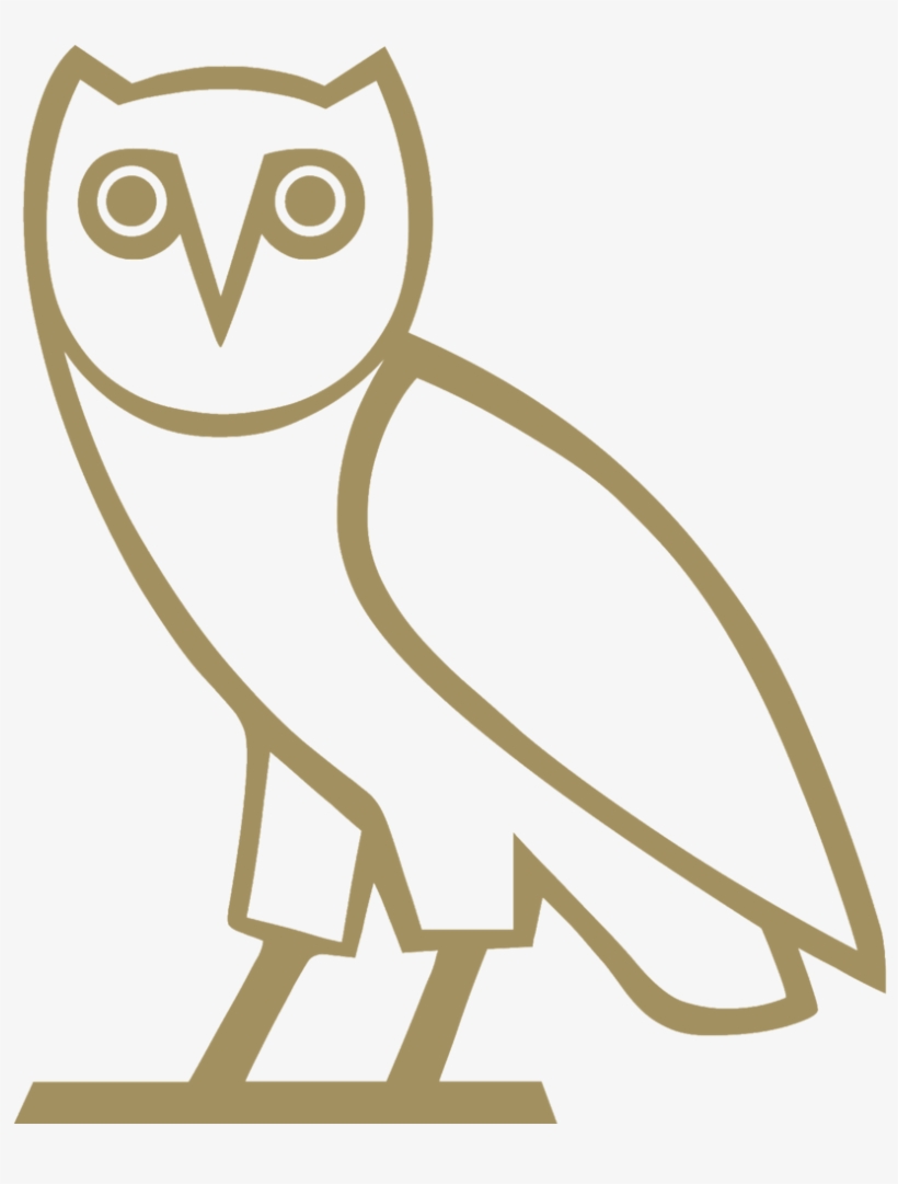 7275088 - Ovo Owl Png, transparent png #4507192