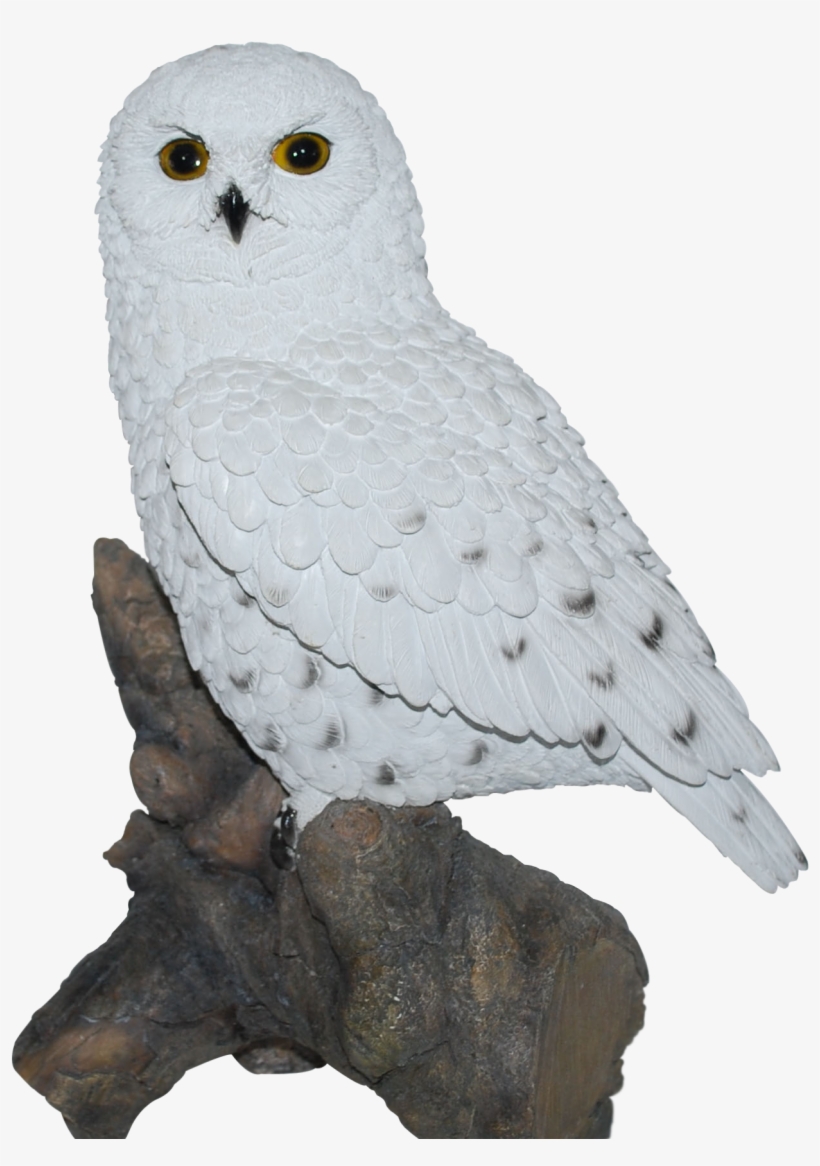 Perrywood Online Shopping - Snowy Owl, transparent png #4507404