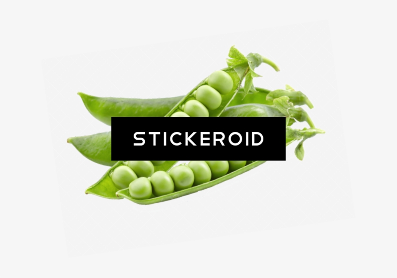 Pea Vegetables - Green Pea Transparent Png, transparent png #4507412