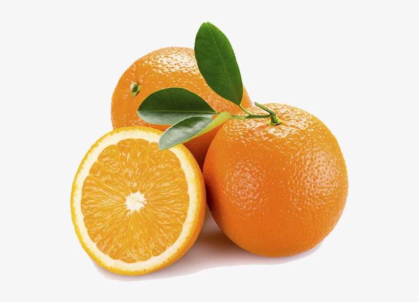 Naranja - Guzzini My Kitchen Juice Squeezer, Grey, transparent png #4509642