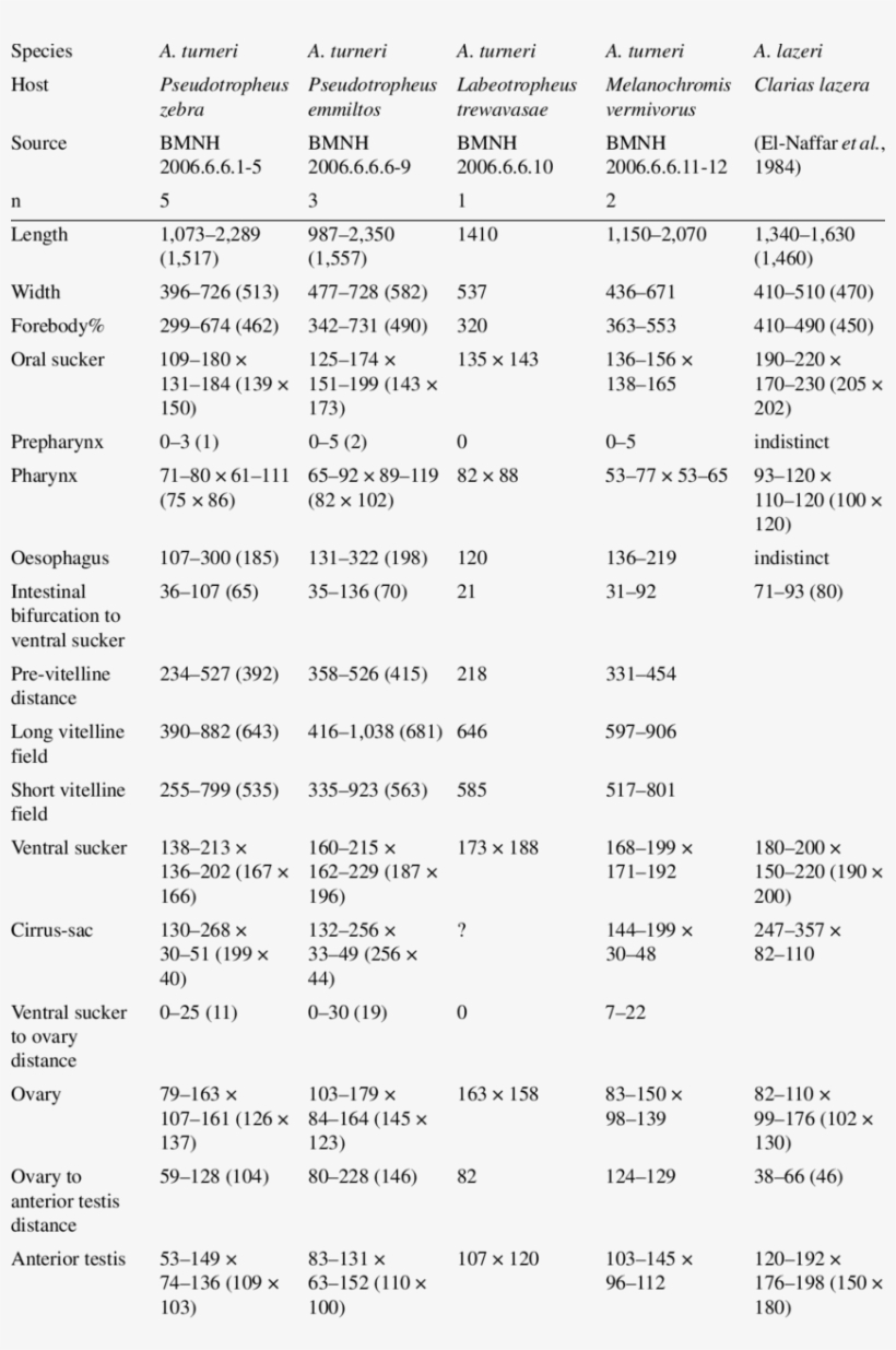 Measurements Of Various Plagiorchi - Document, transparent png #4512516