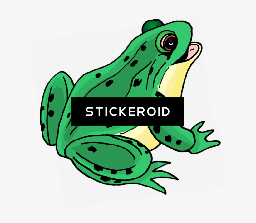 Frog Clip Art - Frog Clipart, transparent png #4514376