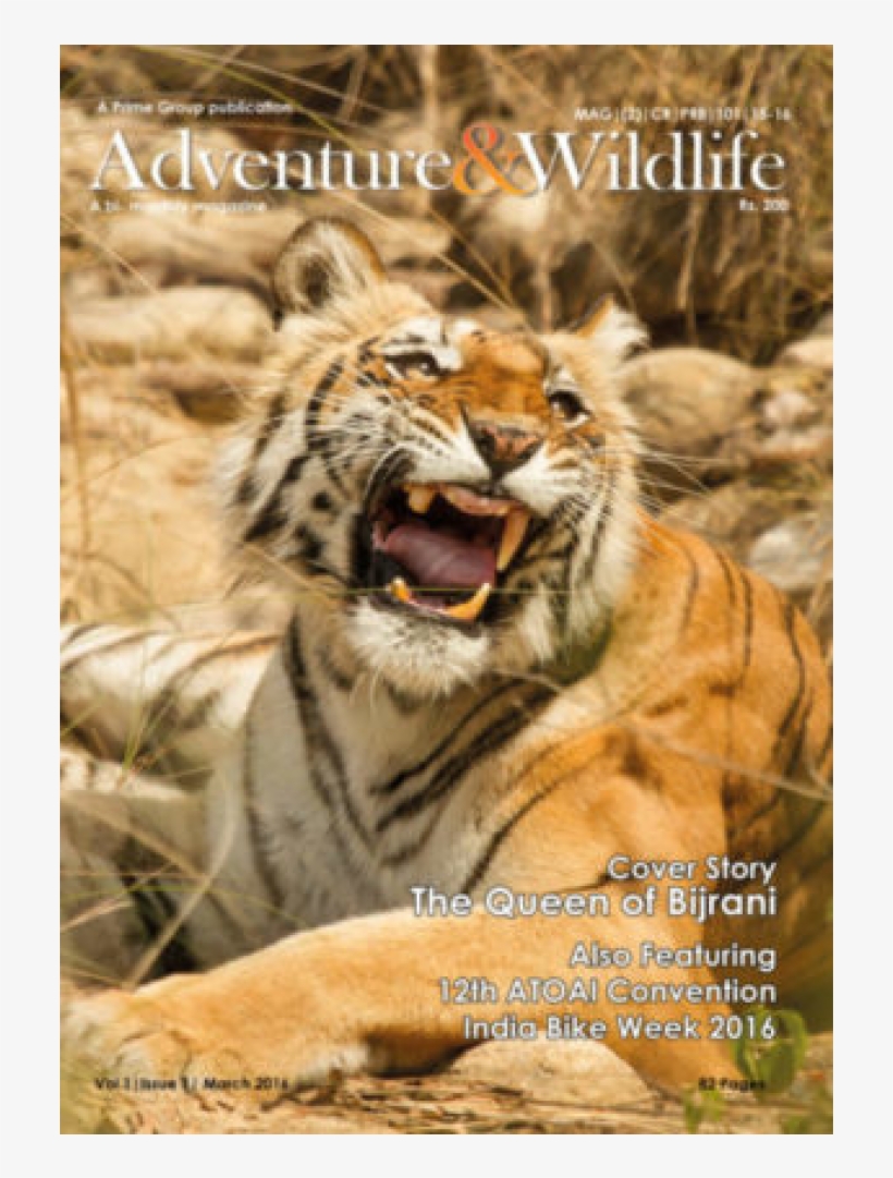 Magazine Cover Pictures - Magazine, transparent png #4514936