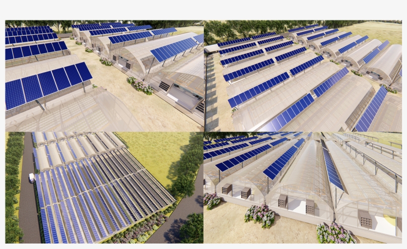 3d Design By Muiz Mahmood Bd For This Project - Design, transparent png #4515327