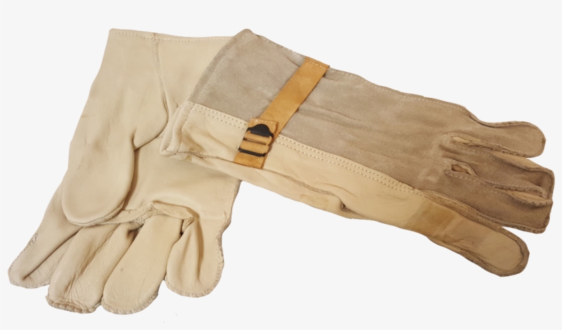 Vietnam Era M1950 Cattle Hide Leather Glove, transparent png #4515602