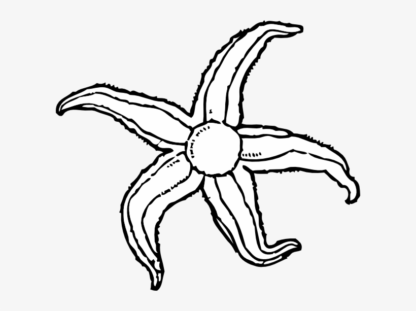 Clipart Info - Water Animal Clipart Black And White, transparent png #4516275