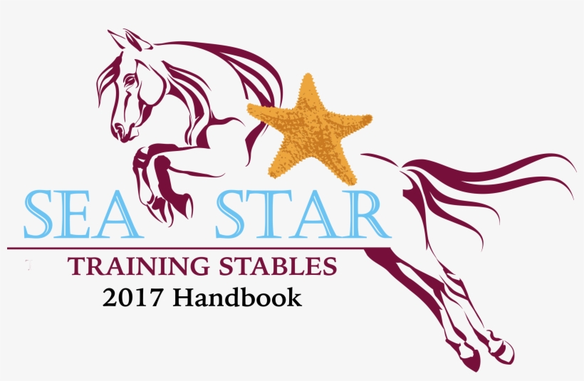 Sea Star Handbook - Starfish, transparent png #4517086
