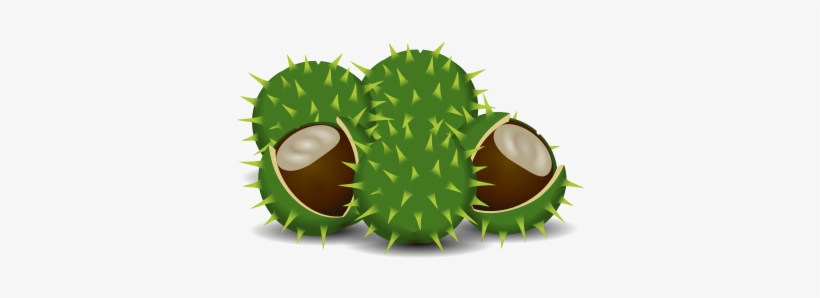 Free A Couple Of Chestnuts - Clip Art, transparent png #4519819