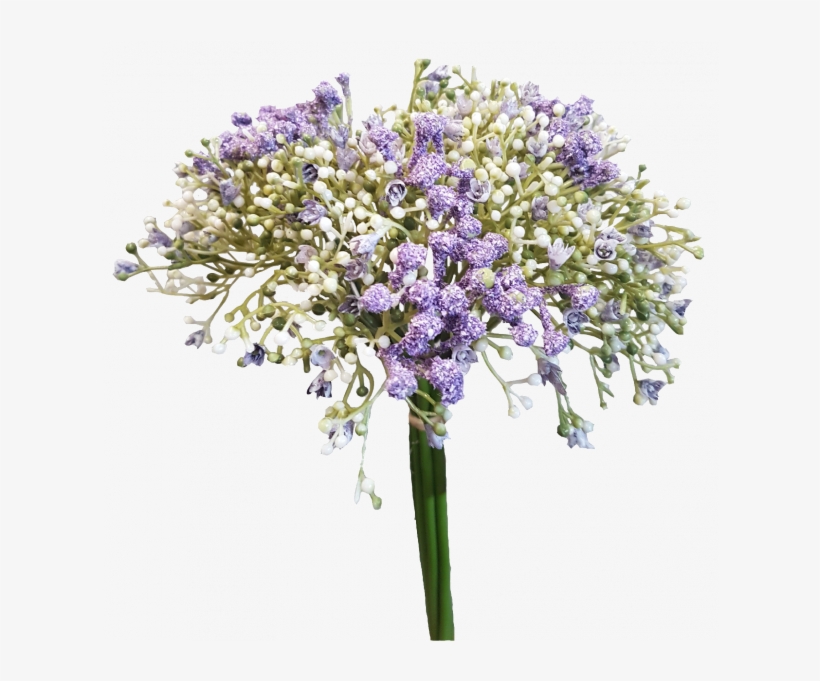 Baby's Breath Bouquet Png, transparent png #4519822