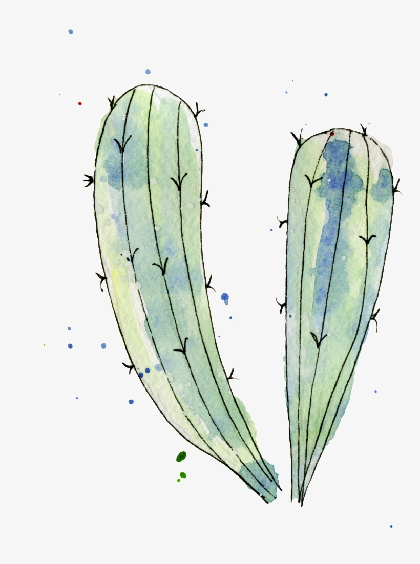 Blue Green Cactus Watercolor Hand Painted Transparent - Illustration, transparent png #4520063