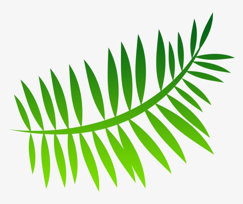 Fern Png Image - Green Leaf Art Forest 2 Canvas Art | Canvas Art | Ys061010c, transparent png #4521197