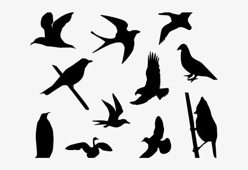 Lovebird Clipart Small Bird - Free Bird Silhouette Vector, transparent png #4523931