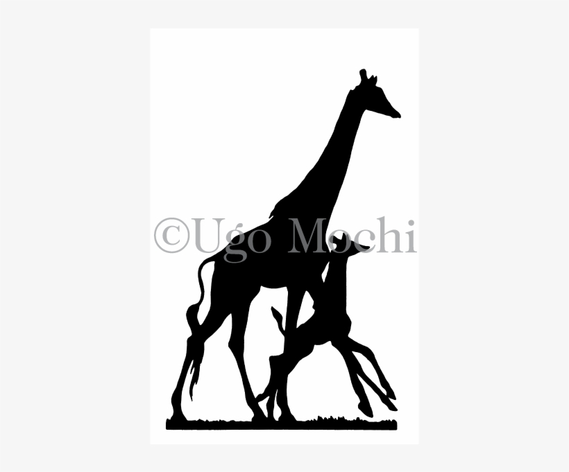 African Giraffes No - Giraffe, transparent png #4524835