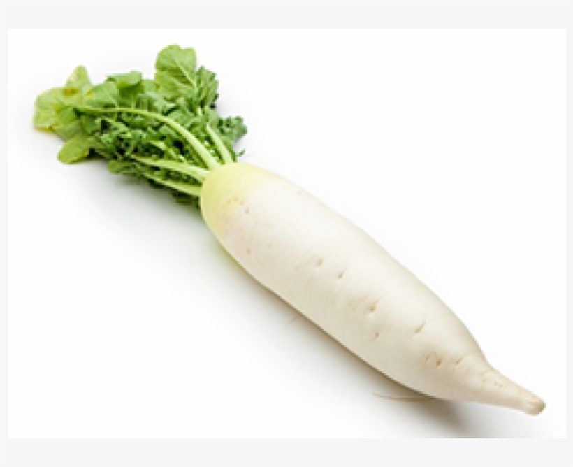 White Radish Png - Mula Vegetables, transparent png #4524844