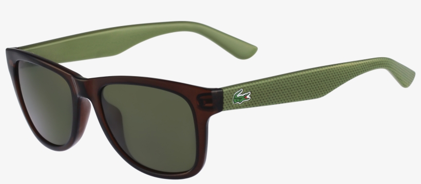 lacoste shades for men