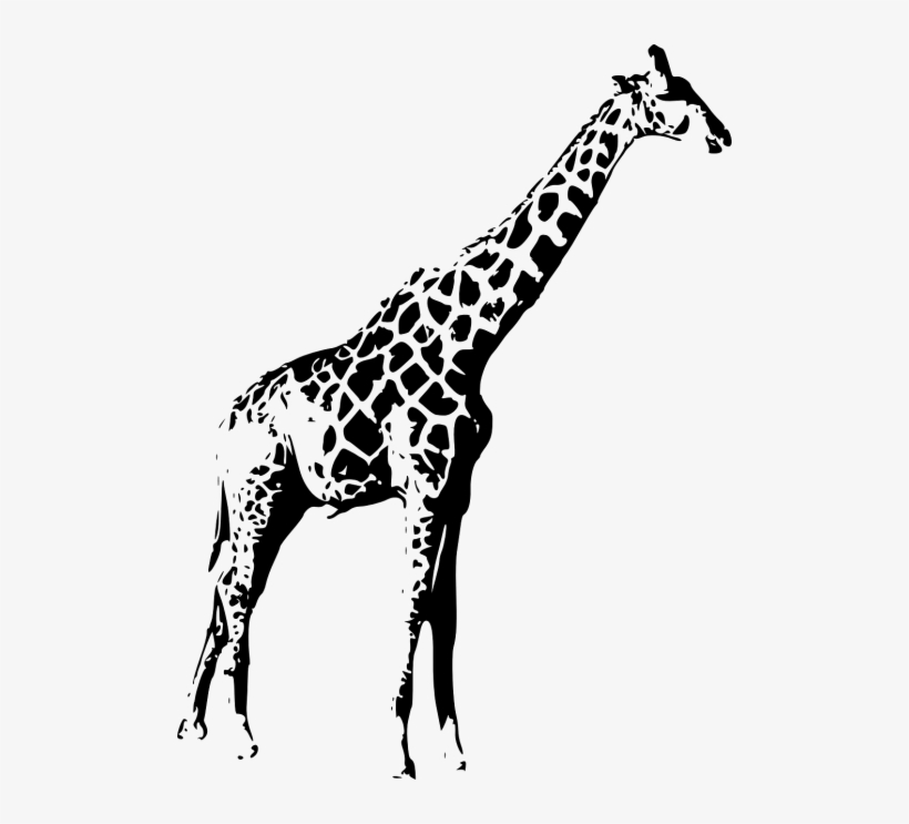 Png Transparent Library Giraffe Black Silhouette Tall - False Giraffe Wall Sticker Giraffe Wall Vinyl Decal, transparent png #4525487