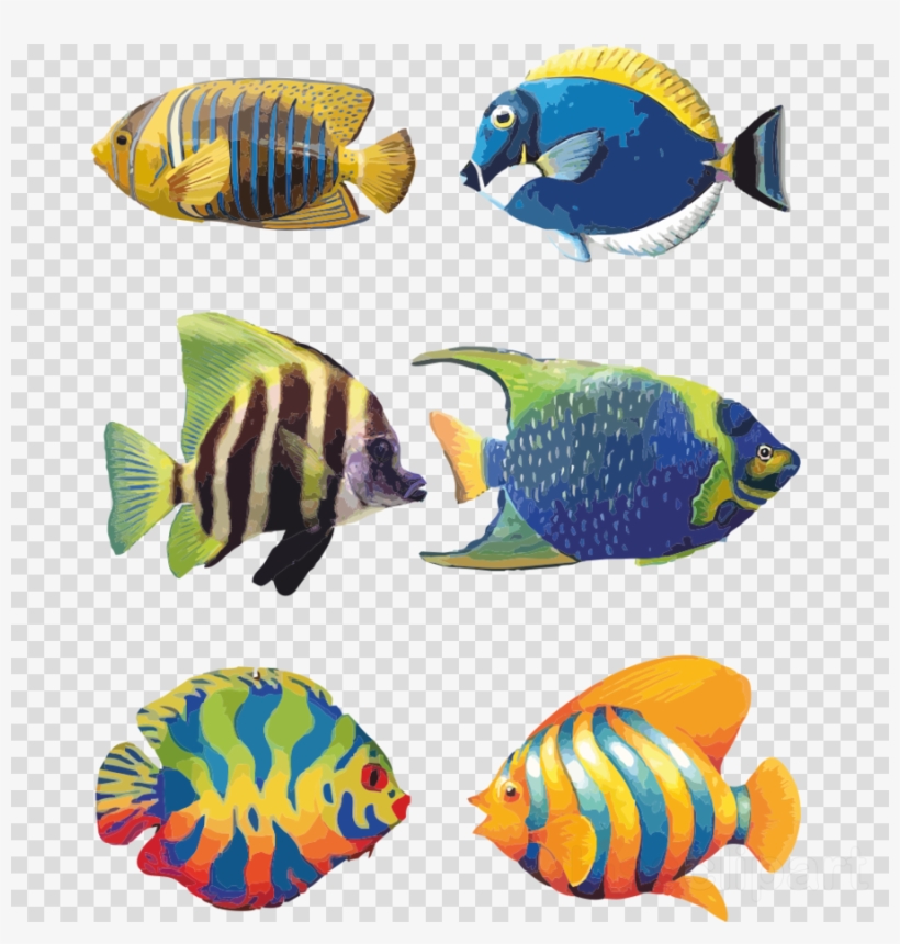 Download Tropical Fish Drawings Clipart Angelfish Koi - Fish Drawing Images With Colour, transparent png #4525492