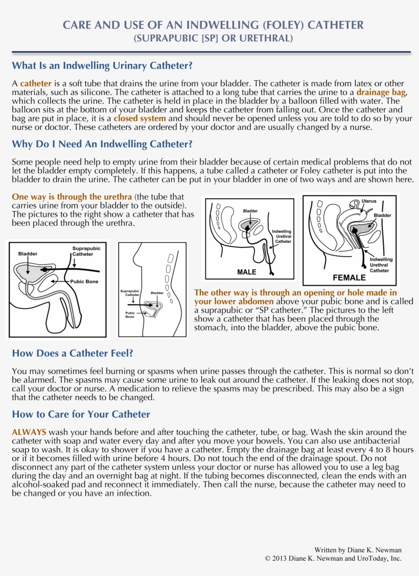 Careofaniuc4-2 - Document, transparent png #4525906