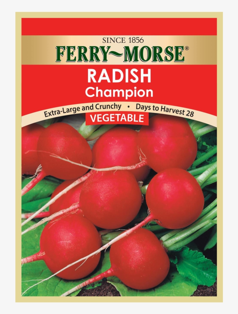 Ended - Ferry Morse Cherry Belle Radish Seed Packet, transparent png #4525910