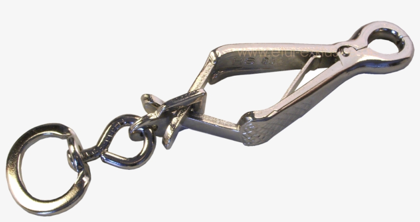 Zangen Karabiner Für Hundeleinen, transparent png #4527160