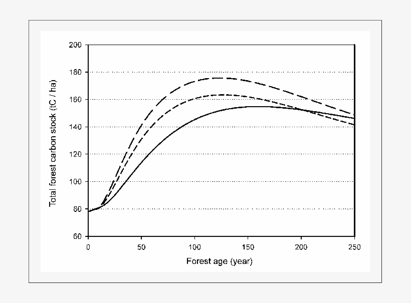 Estimated Total Carbon For The Conmx Standard Forest - Diagram, transparent png #4527560