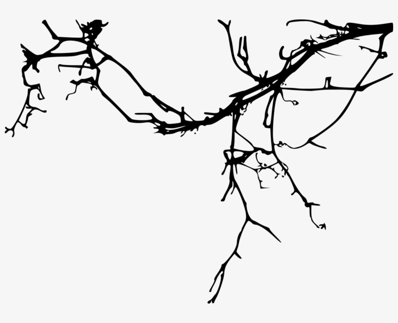 Simple Tree Branch - Tree Branch Silhouette Png, transparent png #4527975